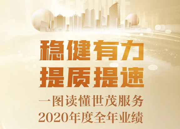 一图读懂尊龙凯时-人生就是搏服务2020年度全年业绩